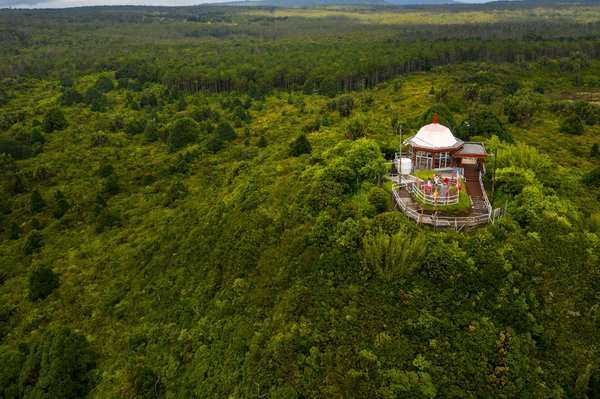 Comment intégrer un bassin dans son jardin ?